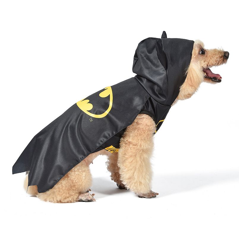 Dog turned with its back, wearing a Batman costume with a cape