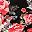 Black Floral