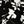 Black White Floral