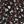 Black Red Floral