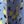 Blue Yellow Floral