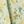 Light Green Yellow