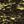 Black Gold