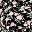 Black Pink Floral