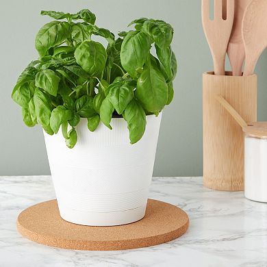 4 Pack Circle Cork Pads Round Non-Slip Oven Trivet Hot Pan Placemats Holder 9"