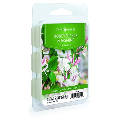 Candle Warmers Etc. Fruity & Floral Wax Melt 48-Piece Set