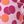 Light Pink Dots