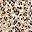 Apricot Leopard