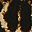 Brown Leopard