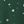 Dark Green Stars