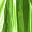 Shiny Green