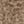 Dark Beige