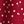 Red Dotted