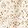 Beige Apricot Floral