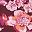 Deep Purple Red