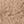 Light Khaki