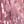 Pinks