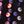Blue Purple