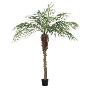 Vickerman Artificial Potted Phoenix Palm Tree Floor Decor