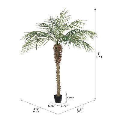 Vickerman Artificial Potted Phoenix Palm Tree Floor Decor