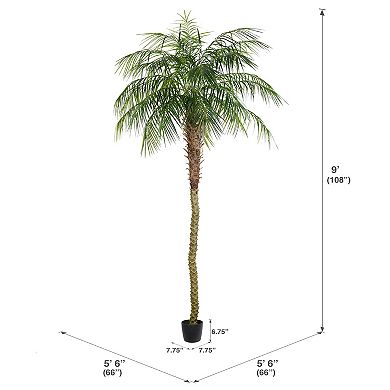 Vickerman Artificial Potted Phoenix Palm Tree Floor Decor