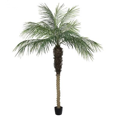 Vickerman Artificial Potted Phoenix Palm Tree Floor Decor