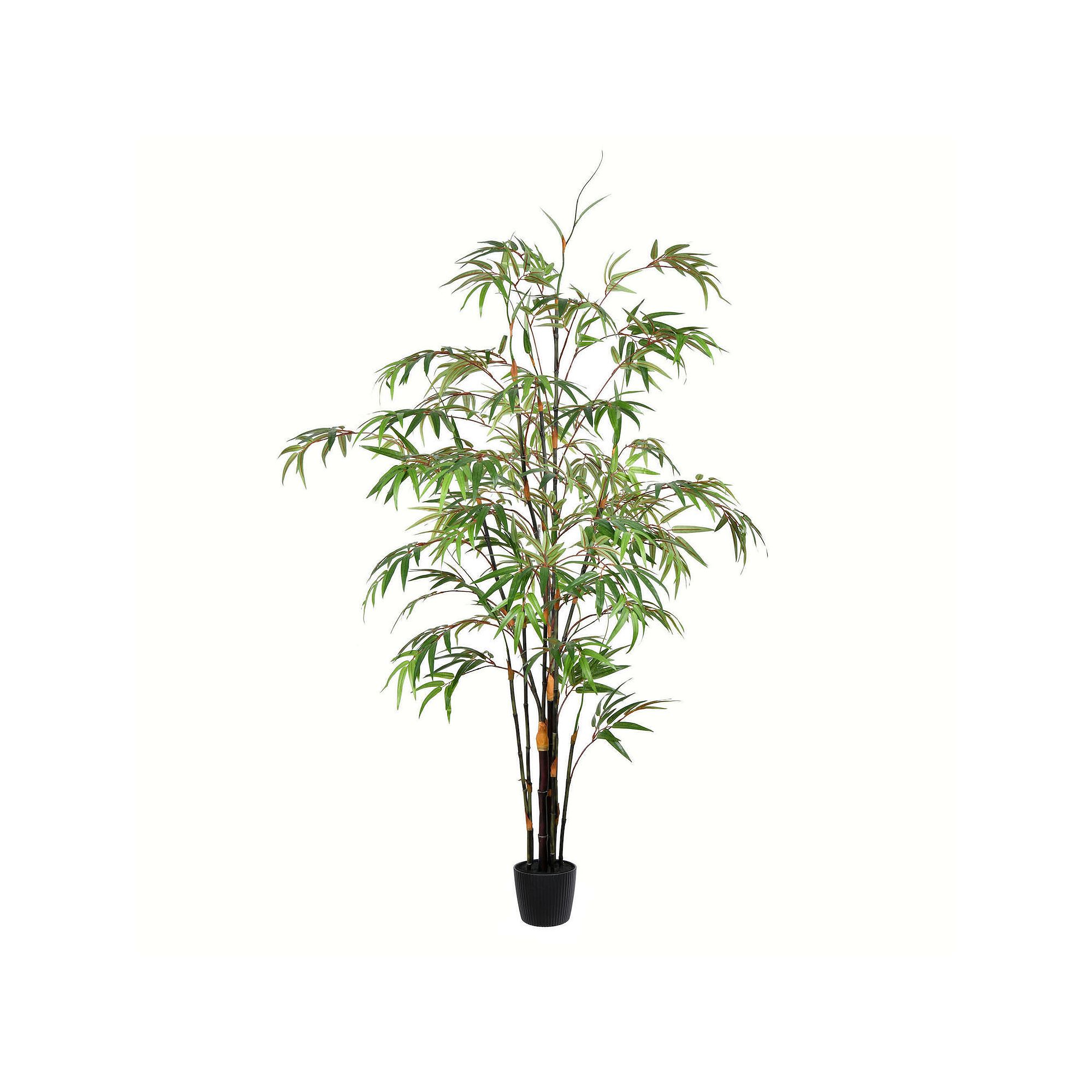 Vickerman Artificial Potted Black Japanese Bamboo Tree Floor Decor, Green