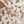 Light Brown White