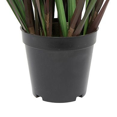 Vickerman 60" Artificial Potted Green Grass and Eucalyptus