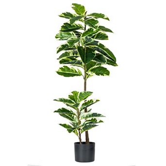 Vickerman 50" Artificial Potted Dieffenbachia.