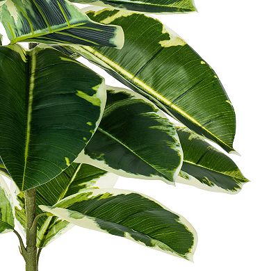 Vickerman 50" Artificial Potted Dieffenbachia.