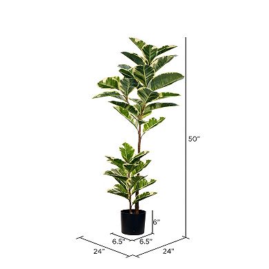 Vickerman 50" Artificial Potted Dieffenbachia.