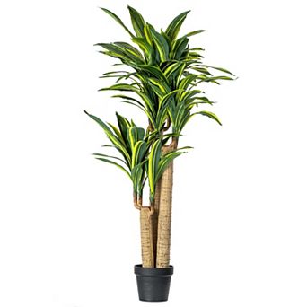 Vickerman 52" Artificial Green and Yellow Real Touch Dracaena Tree
