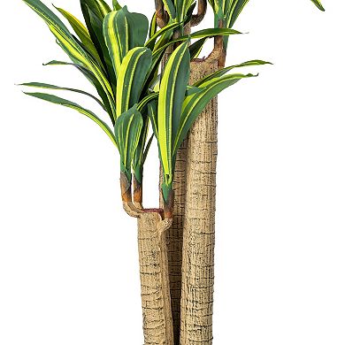 Vickerman 52" Artificial Green and Yellow Real Touch Dracaena Tree