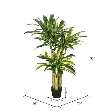Vickerman 52" Artificial Green and Yellow Real Touch Dracaena Tree