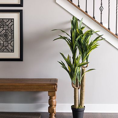 Vickerman 52" Artificial Green and Yellow Real Touch Dracaena Tree