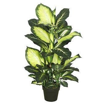 Vickerman 40" Artificial Green and White Dieffenbachia Plant
