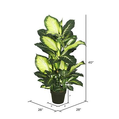 Vickerman 40" Artificial Green and White Dieffenbachia Plant