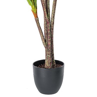 Vickerman 60" Artificial Real Touch Dracaena Plant