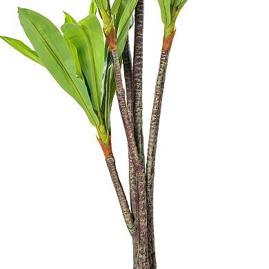 Vickerman 60" Artificial Real Touch Dracaena Plant