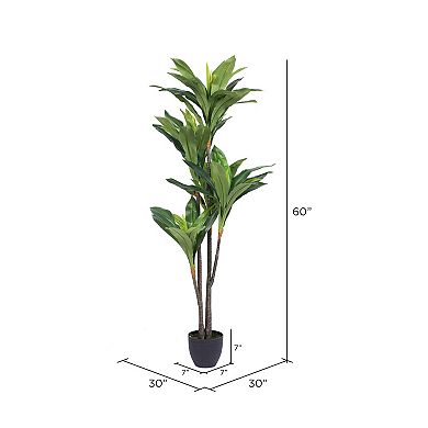 Vickerman 60" Artificial Real Touch Dracaena Plant