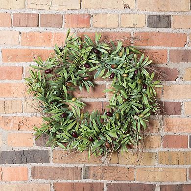 Vickerman 24" Artificial Green Olive Leaf Wreath