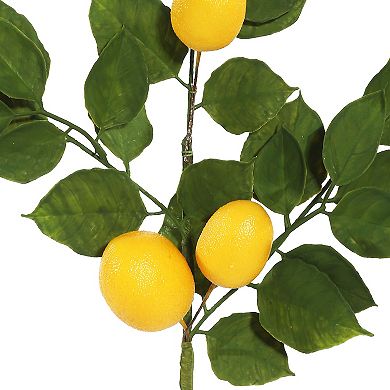 Vickerman 6' Artificial Green and Yellow Salal Leaf Lemon Garland