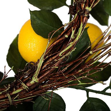 Vickerman 24" Artificial Green and Yellow Salal Leaf Lemon Wreath
