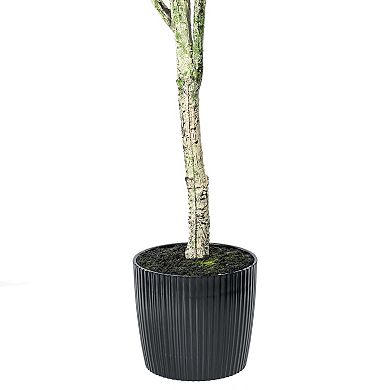 Vickerman 72" Artificial Green Olive Tree in Black Planters Pot