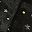 Black Star