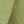 Avocado Green Solid