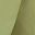 Avocado Green Solid
