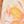 Beige Orange Floral