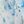 Light Blue Floral